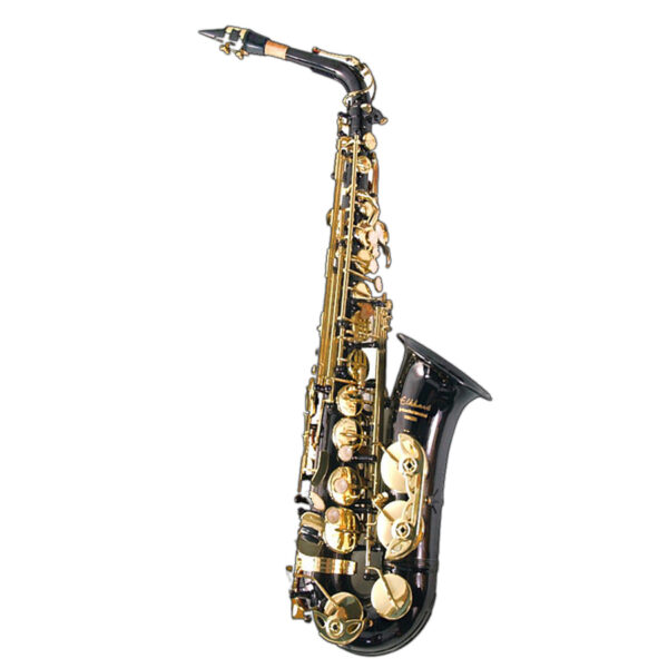Elkhart 100ASBK Eb Alto Saxophone, Black Lacquer