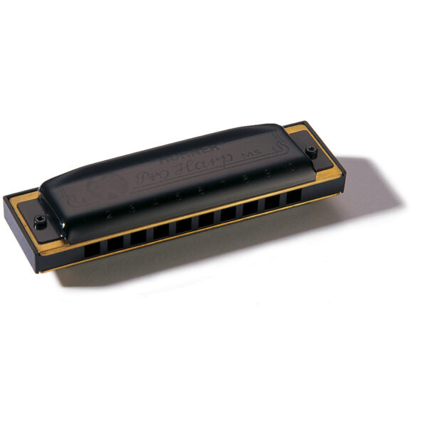 Hohner Pro Harp G Harmonica