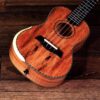 Barnes & Mullins BMUK9C Concert Ukulele, Spalted Maple - Image 3