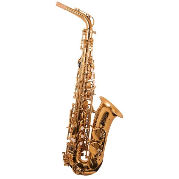 Trevor James 'The Horn' Alto Saxophone, Gold Lacquer