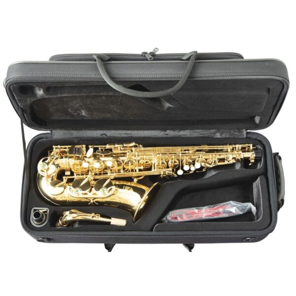 Trevor James 'The Horn' Alto Saxophone, Gold Lacquer - Image 2