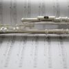 Trevor James 10XP Curved Head Flute - Image 4