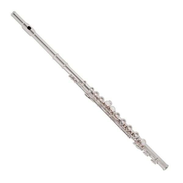 Trevor James TJ5X Student Flute, Wooden Case & Cover - Image 2