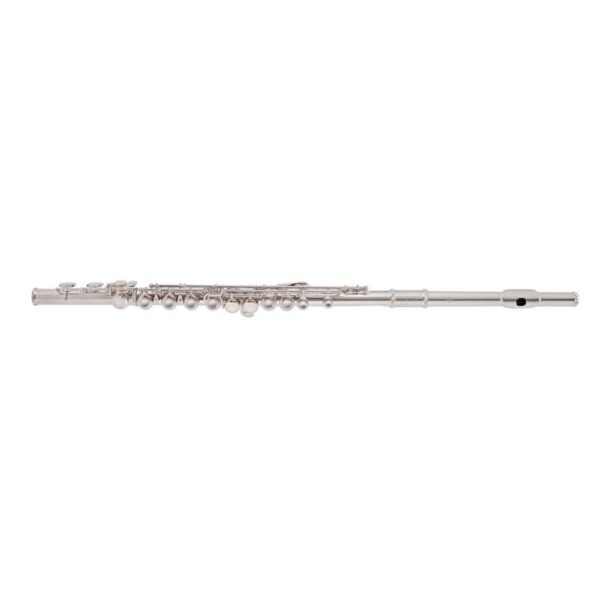 Trevor James TJ5X Student Flute, Wooden Case & Cover