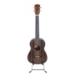 Tanglewood Tiare TWT20 Baritone Ukulele, Ebony, with Deluxe Hard Case