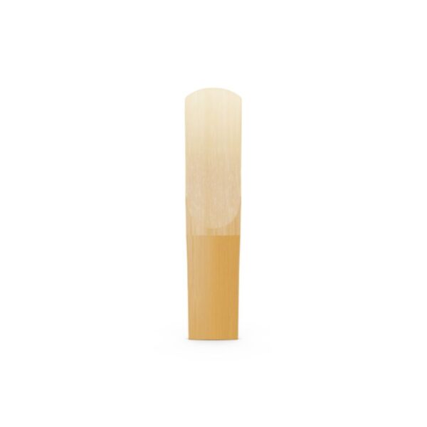 D'Addario Select Jazz Filed Alto Saxophone Reed, Strength 3 Hard (Single) - Image 2