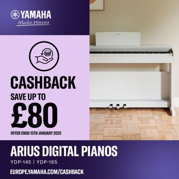 Yamaha Arius YDP165 Rosewood Digital Piano - Image 2