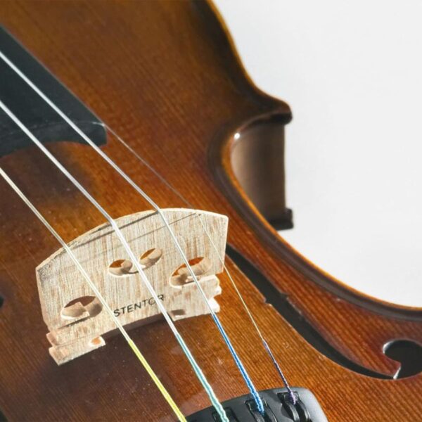 Stentor Student II 1/2 Size Violin - Image 4