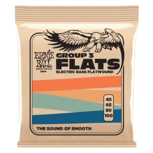 Ernie Ball Stainless Flatwound Bass Set, 45-100