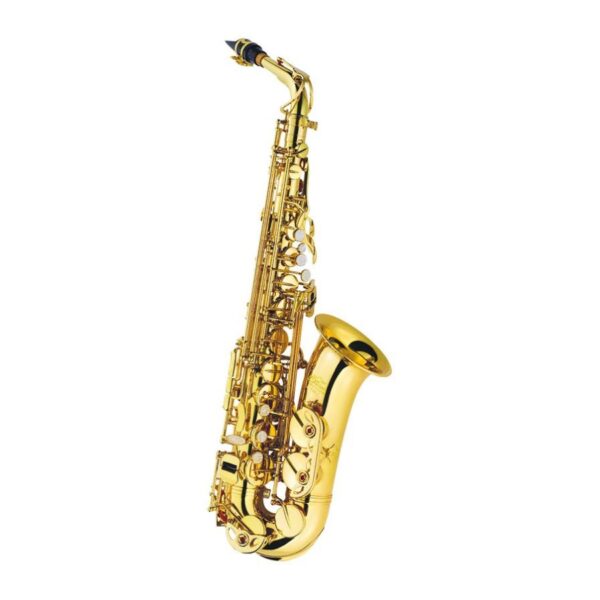 J. Michael Alto Saxophone Outfit