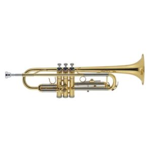J. Michael Trumpet Outfit, Gold Lacquered