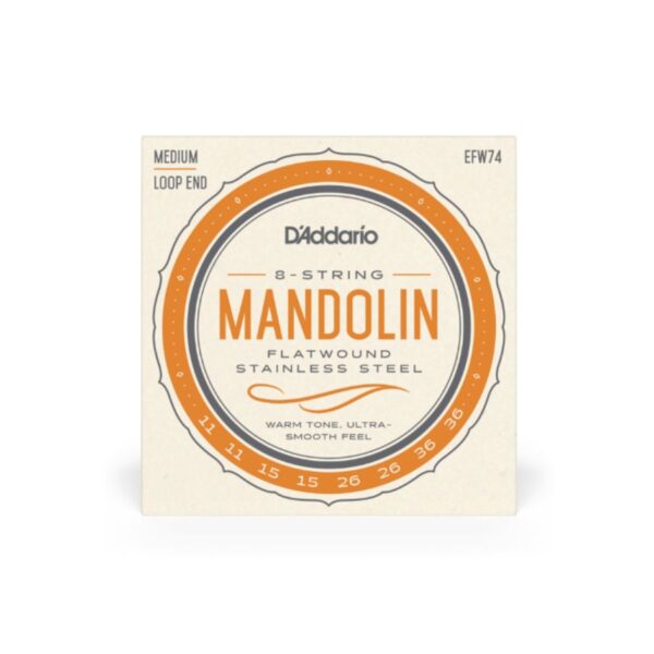 D'Addario EFW74 Flatwound Mandolin String Set, Stainless Steel, 11-36