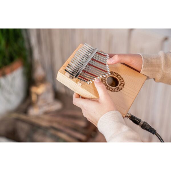 Meinl Sonic Energy PKL1709H Soundhole Pickup Kalimba, C Major, 17-Notes Maple - Image 2