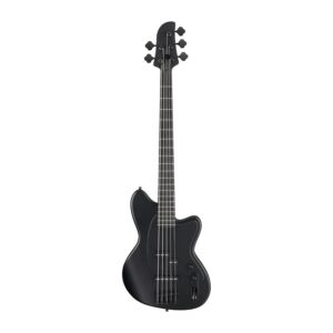 Ibanez TMB Series TMB425B-BKF 5-String Bass Guitar, Black Flat