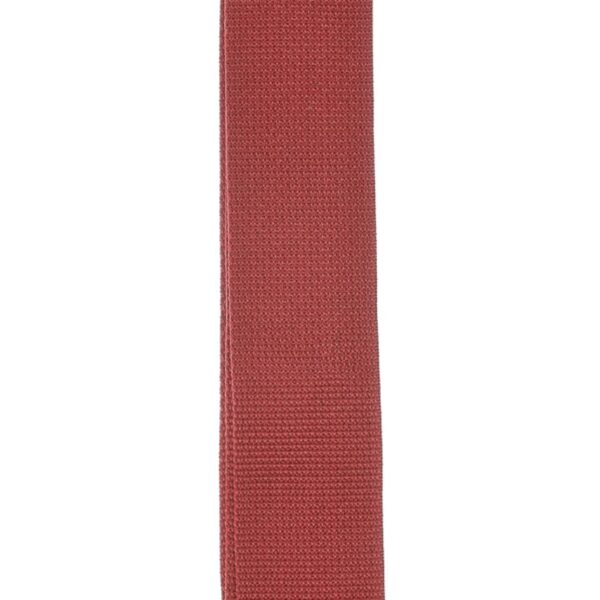 D'Addario Polypropylene Guitar Strap, Red - Image 3