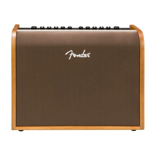 Fender Acoustic 100 Combo Amplifier