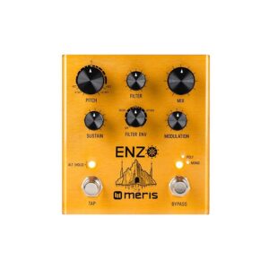 Meris Enzo Pedal
