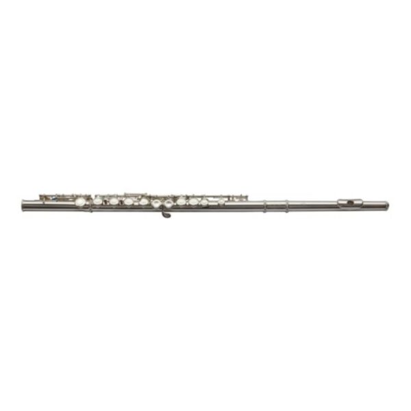 Ex-Rental Trevor James 5X Student Flute, Case & Cover