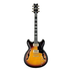 Ibanez JSM10-VYS Vintage Yellow Sunburst Electro Acoustic Guitar