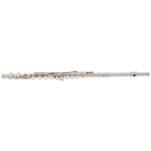 Ex-Rental Elkhart 100FLE SP Flute