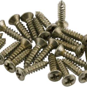 Fender Road Worn® Pickguard/Control Plate Screws (24)