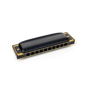 Hohner Pro Harp D Harmonica
