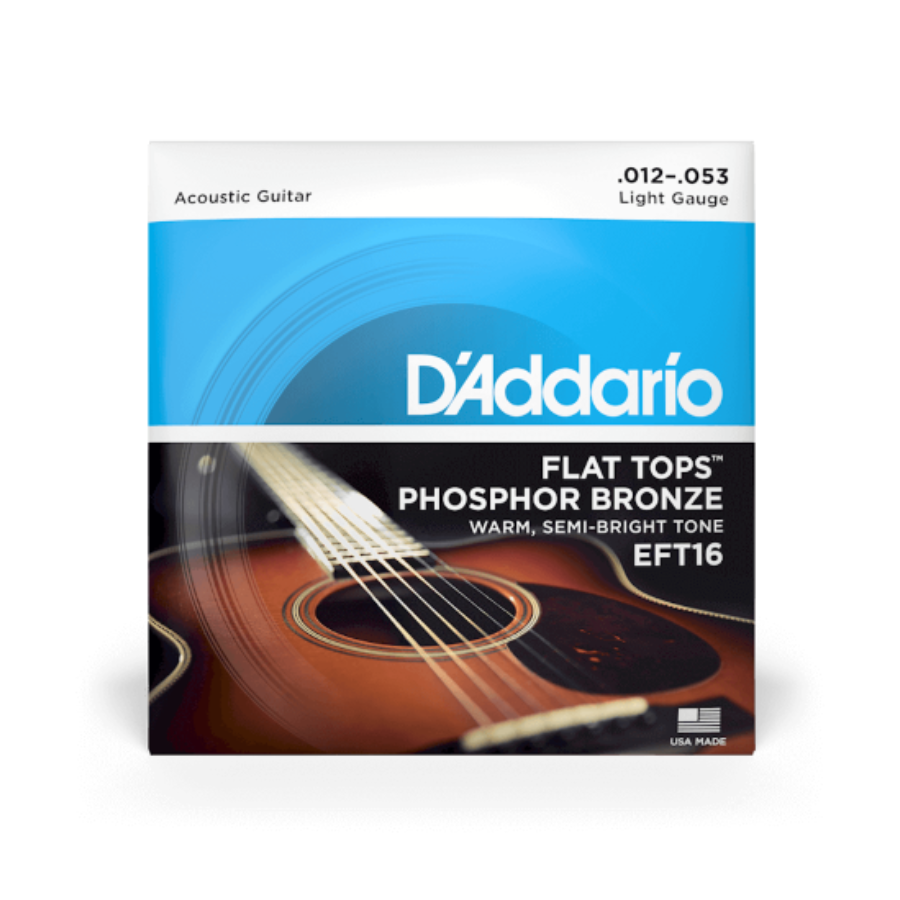 D'Addario EFT16 Flat Tops Phosphor Bronze Acoustic Guitar String Set, 12-53, Light