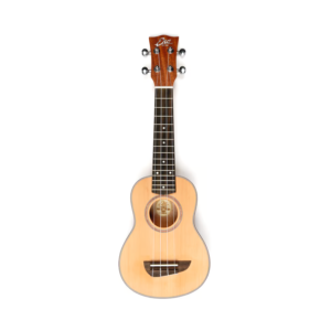 Eko Evo Concert Ukulele, Cedar Top, with Bag