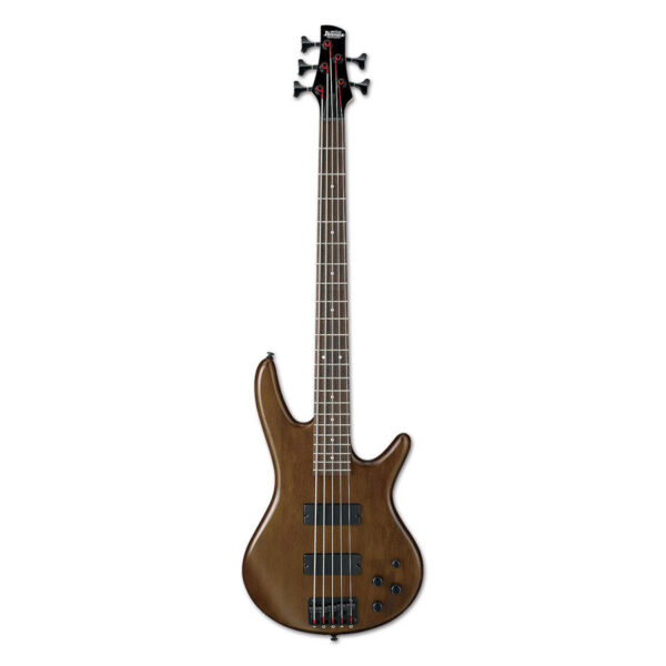 Ibanez GSR205B-WNF  Bass Guitar